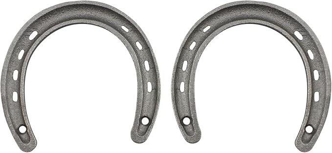 Onseeda Good Lucky Steel Horse-Shoe Wall Decor Cast Iron Horseshoe Ornament Cast Iron Medium Horseshoe Home Decoration(11 Holes on Each Side) 2 Pack