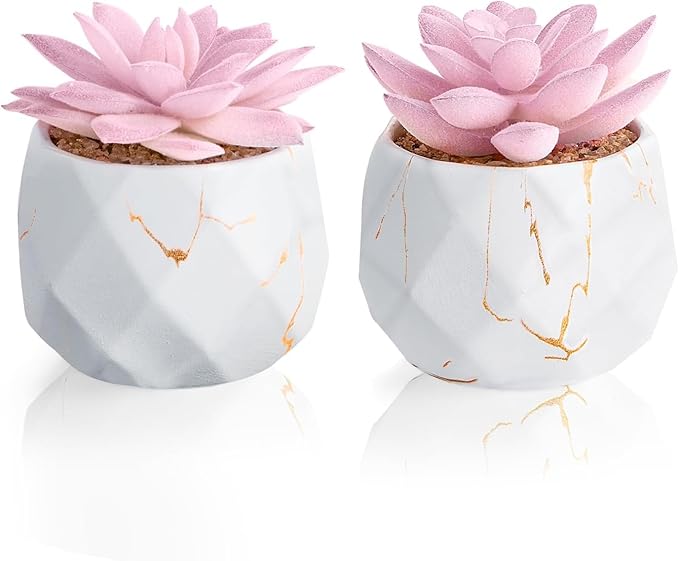 ZENIDA Artificial Succulent Plants in 2 White Ceramic Pots, Cute Fake Plants for Vanity Decor,Office, Desk, Bathroom, Kitchen,Bedroom, Shelves Decor for Women,Girls Gift