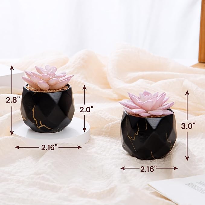 ZENIDA Artificial Succulent Plants in 2 Black Ceramic Pots, Cute Fake Plants for Vanity Decor, Office, Desk, Bathroom, Kitchen, Bedroom, Shelves Decor for Women, Girls Gift