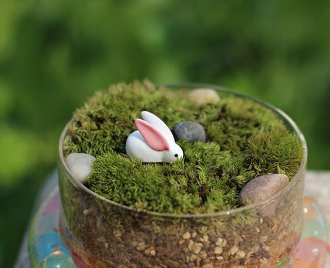 Mini Terrarium Rabbit, Dollhouse Miniature Tiny White Rabbit with Pink Ear, Terrarium Fairy Garden Dolls Toy, Mini Micro Landscaping Decoration (5 PCS)