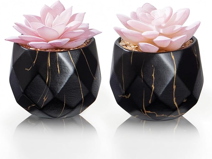 ZENIDA Artificial Succulent Plants in 2 Black Ceramic Pots, Cute Fake Plants for Vanity Decor, Office, Desk, Bathroom, Kitchen, Bedroom, Shelves Decor for Women, Girls Gift