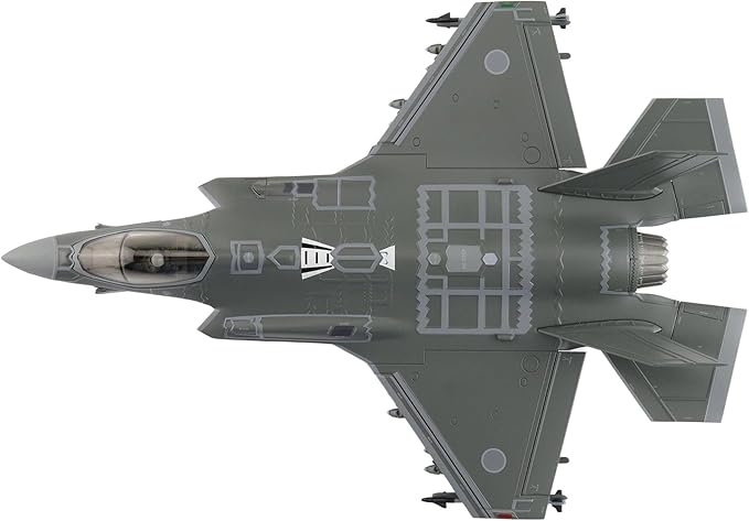 Hobby Master | 1:72 Scale Diecast Military Aircraft Replica | F-35A Lightning II 69-8702, 302nd FS, JASDF (w/Painted RAM Panels) | Model HA4443