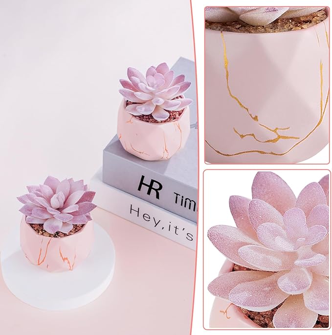 ZENIDA Artificial Succulent Plants in 2 Pink Ceramic Pots, Cute Fake Plants for Vanity Decor,Office, Desk, Bathroom, Kitchen,Bedroom, Shelves Decor for Women,Girls Gift