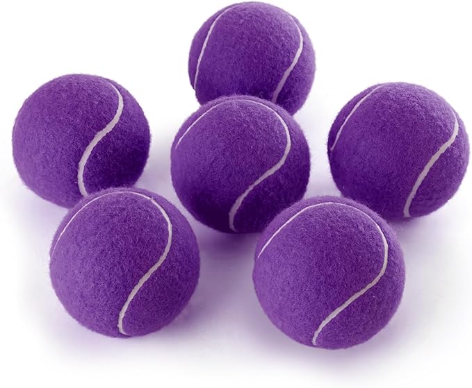 PHOEPET 6-Pack Tennis Balls for Beginner Training Practice- Bulk Dog Balls for Fetch Chew Toys(Purple)