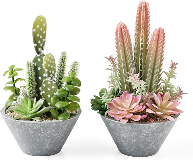 Fuxdre 2-Pack Artificial Succulent Plants in Vintage Plastic Pots - Waterproof Fake Plants Decor for Home Office Desk - Low Maintenance Indoor Greenery for Bathroom, Shelf & Table