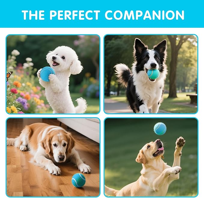 PHOEPET 6-Pack Tennis Balls for Beginner Training Practice- Bulk Dog Balls for Fetch Chew Toys(Blue)