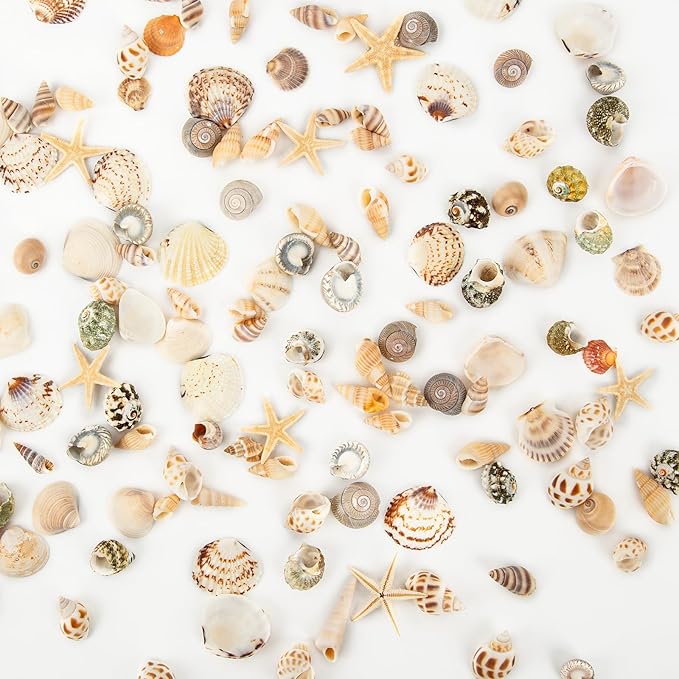 Tiny Sea Shells & 6 Starfish Decor Mixed Ocean Beach Spiral Seashells for Home Decor, Wedding,Decor, Beach Decor, Vase Filler, Ocean Theme Decor,Fish Tank, Making DIY Ornaments