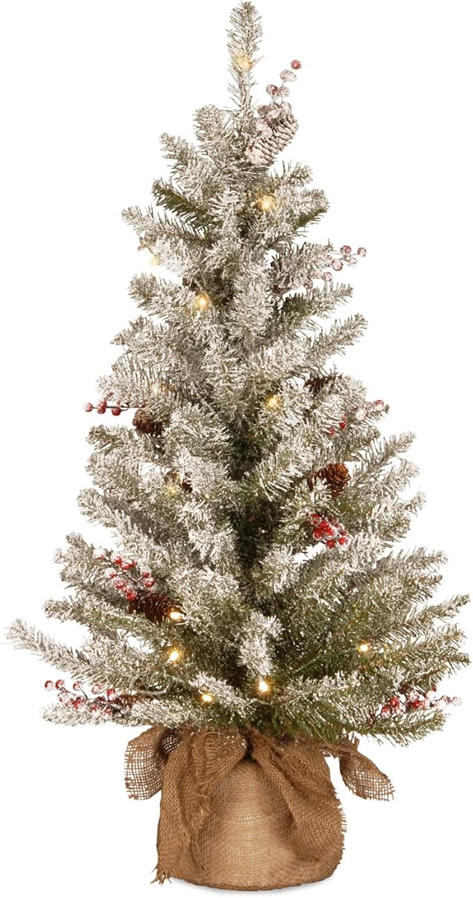 National Tree Company Pre-Lit Artificial Mini Christmas Tree, Green, Dunhill Fir, White Lights, Decorated with Pine Cones, Berry Clusters, Frosted Branches, Includes Cloth Bag Base, 3 Feet