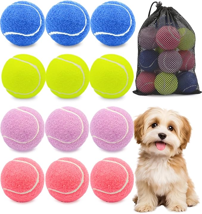 GOLDNITE Tennis Balls for Training and Dogs,12/20 Pack Practice Tennis Ball with Mesh Bag for Transport and Beginner Exercise High Elasticity Durable Pet Playing Tennis Ball Set