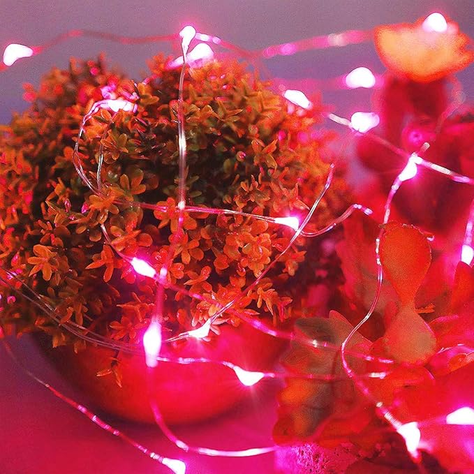 Ariceleo Led Fairy Lights Battery Operated, 2 Packs Mini Battery Powered Copper Wire Starry Fairy Lights for Bedroom, Christmas, Parties, Wedding, Centerpiece, Decoration (5m/16ft Red)