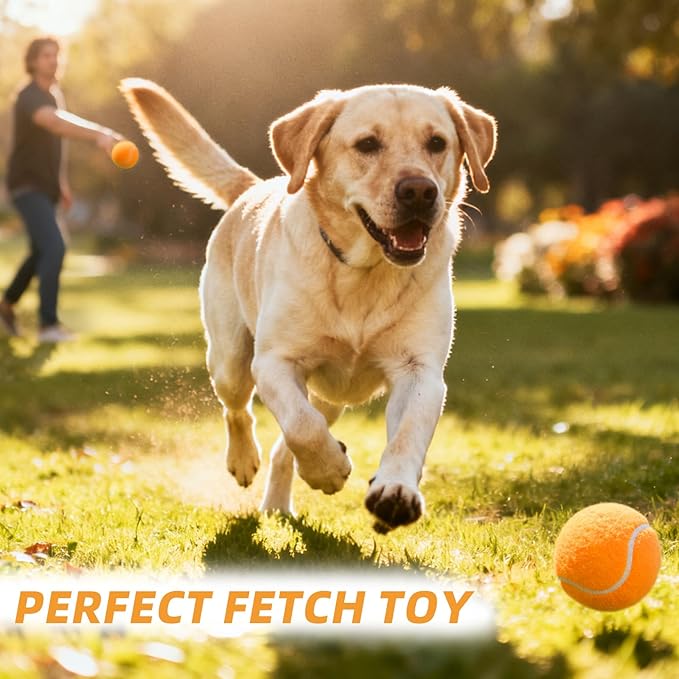 PoyPet 16-Pack Tennis Balls Bulk for Practice,Training and Beginners | Ideal for Dog Fetch,Chew and Play