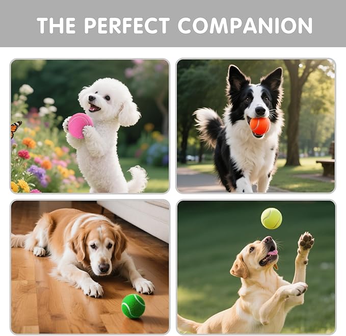 PHOEPET 6-Pack Tennis Balls for Beginner Training Practice- Bulk Dog Balls for Fetch Chew Toys(Mix Colors)