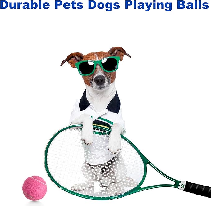 HiBallBall 12-Pack Practice Tennis Balls for Beginners & Dogs - Reusable Mesh Carry Bag Included - Ideal for Tennis Training, Pet Play, Fetch