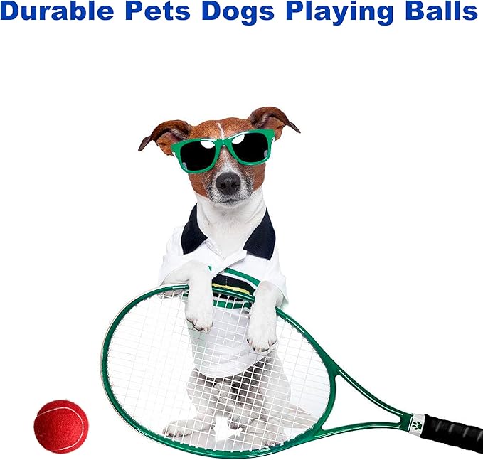HiBallBall 12-Pack Practice Tennis Balls for Beginners & Dogs - Reusable Mesh Carry Bag Included - Ideal for Tennis Training, Pet Play, Fetch