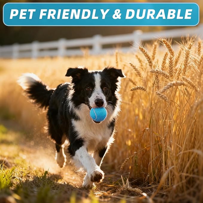 PoyPet 16-Pack Tennis Balls Bulk for Practice,Training and Beginners | Ideal for Dog Fetch,Chew and Play