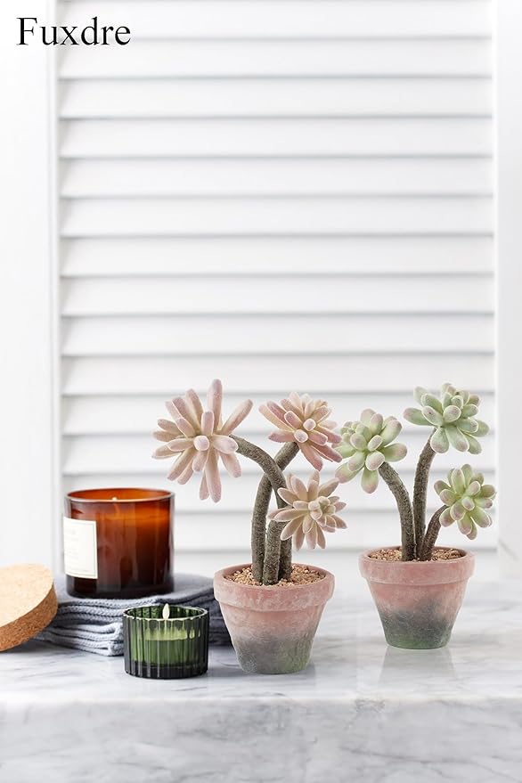 Fuxdre 2-Pack Artificial Succulent Plants in Vintage Plastic Pots - Waterproof Fake Succulents Decor for Home, Office, Desk - Low Maintenance Indoor Plants for Bathroom, Shelf, Table Decor