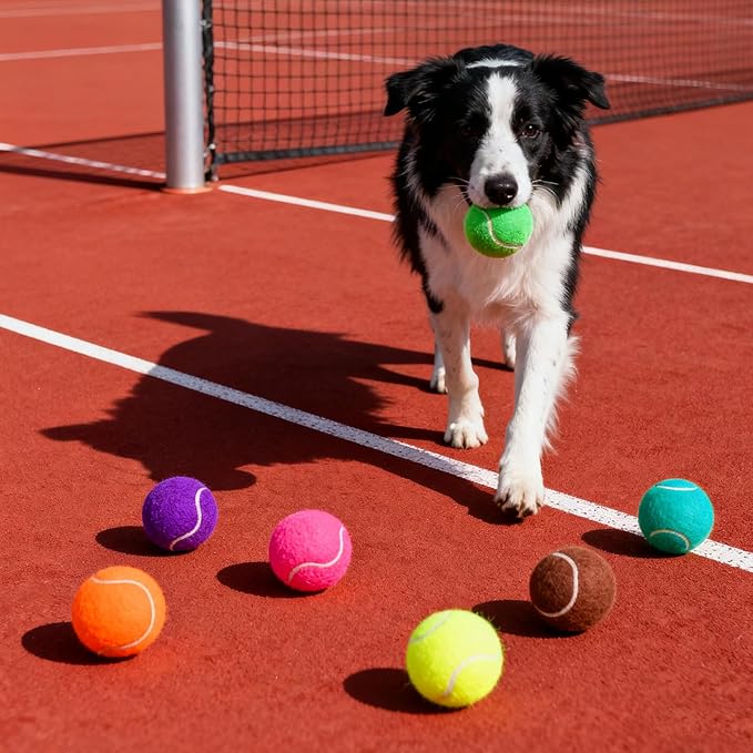 PoyPet 16-Pack Tennis Balls Bulk for Practice,Training and Beginners | Ideal for Dog Fetch,Chew and Play