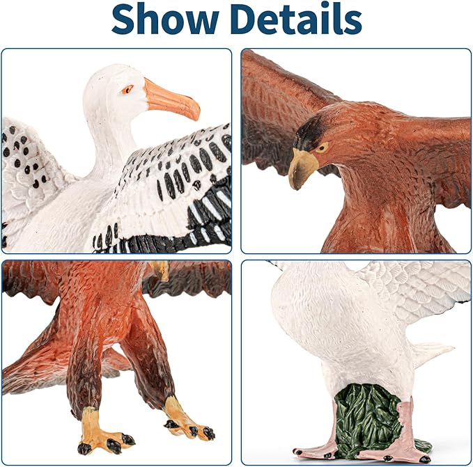 8PCS Large Galapagos Island Animal Figurines Set, Realistic Giant Tortoise Sea Animal Toys Includes Shark, Hawk, Crab, Sea Lion, Blue-Footed Booby, Educational Toys for Toddlers Kids