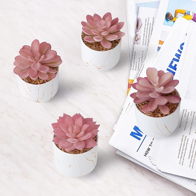 ZENIDA Succulent Artificial Plants,Cute Fake Succulents in 4 White Ceramic Pots,Small Fake Plants for Office,Table,Desk,Bathroom, Bedroom,Aesthetic Room Shelves Decor,Desk Decorations for Women Office