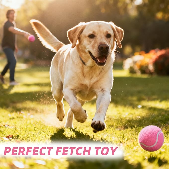 PoyPet 16-Pack Tennis Balls Bulk for Practice,Training and Beginners | Ideal for Dog Fetch,Chew and Play