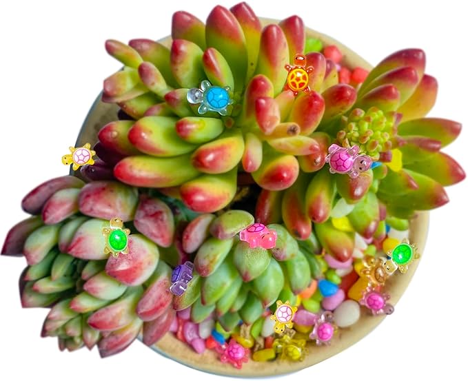 200PCS Mini Turtle Decor for Dollhouse Resin Tiny Turtles for Crafts Micro Miniature Turtle for Fairy Garden Dollhouse Micro Landscaping Decoration