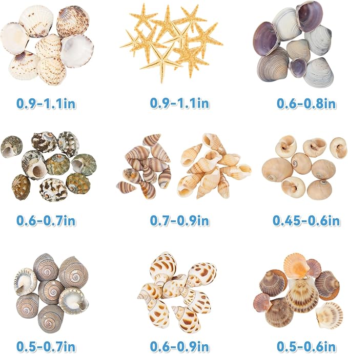 Tiny Sea Shells & 6 Starfish Decor Mixed Ocean Beach Spiral Seashells for Home Decor, Wedding,Decor, Beach Decor, Vase Filler, Ocean Theme Decor,Fish Tank, Making DIY Ornaments