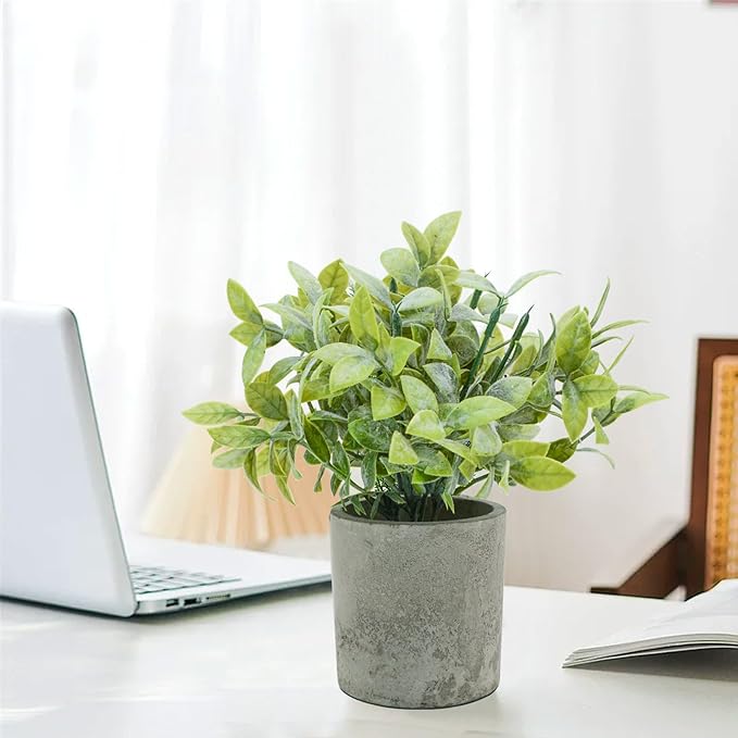 Bacucine 3Pcs Fake Plants Potted Mini Artificial Greenery Artificial Plants for Shelf Table Office Farmhouse Home Decor (Boxwood)