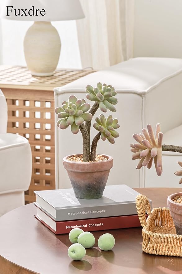 Fuxdre 2-Pack Artificial Succulent Plants in Vintage Plastic Pots - Waterproof Fake Succulents Decor for Home, Office, Desk - Low Maintenance Indoor Plants for Bathroom, Shelf, Table Decor