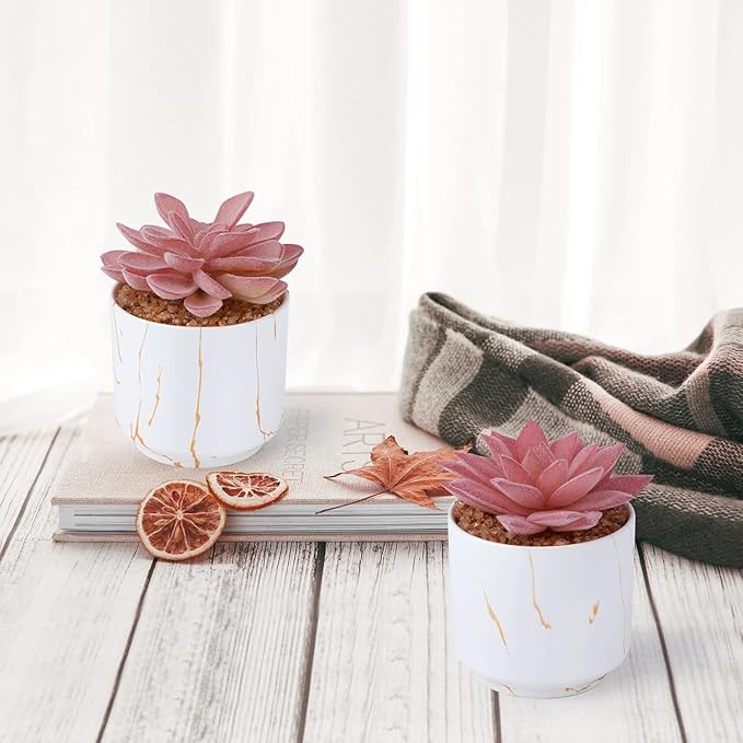 ZENIDA Succulent Artificial Plants,Cute Fake Succulents in 4 White Ceramic Pots,Small Fake Plants for Office,Table,Desk,Bathroom, Bedroom,Aesthetic Room Shelves Decor,Desk Decorations for Women Office