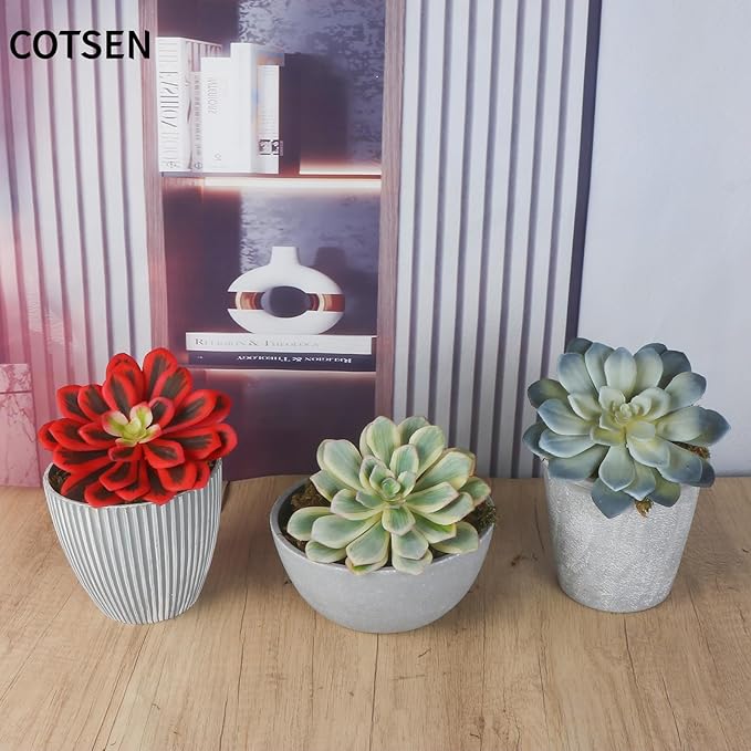 COTSEN 3 Pcs Artificial Succulents Plants Unpotted Assorted Fake Succulents for Office Family Garden Decor