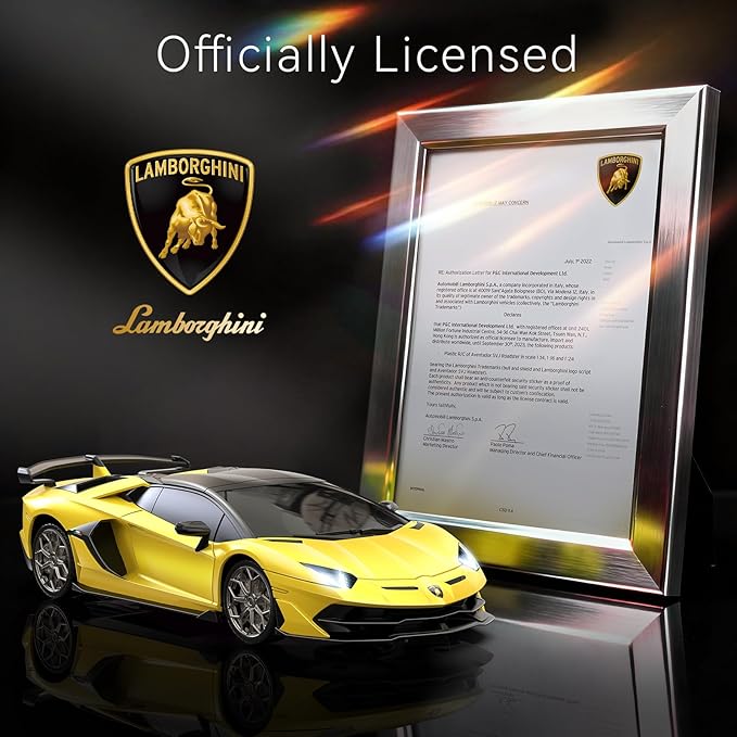 Lamborghini Remote Control Car, 1:24 Scale Electric Sport Racing Hobby Toy Car Lamborghini Model Vehicle for Boys Girls Birthday Gifts, Yellow