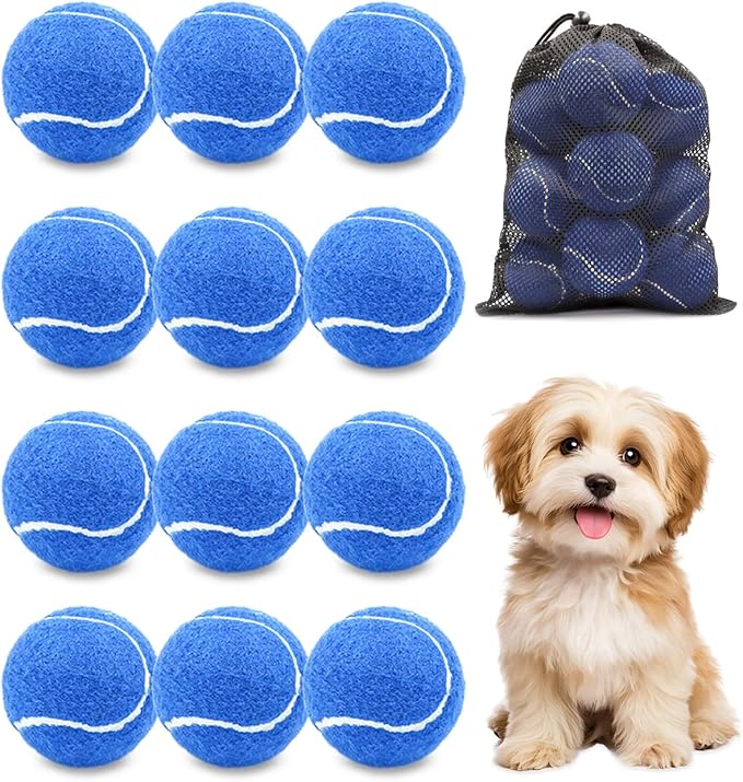 GOLDNITE Tennis Balls for Training and Dogs,12/20 Pack Practice Tennis Ball with Mesh Bag for Transport and Beginner Exercise High Elasticity Durable Pet Playing Tennis Ball Set