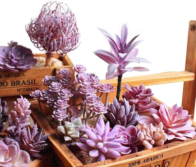 Woohome 15 PCS Artificial Succulent Plants, Purple Fake Succulent, Unpotted Faux Succulent Assortment in Flocked Blue in Different Type for Birthday Home Decor Indoor Wall Garden DIY