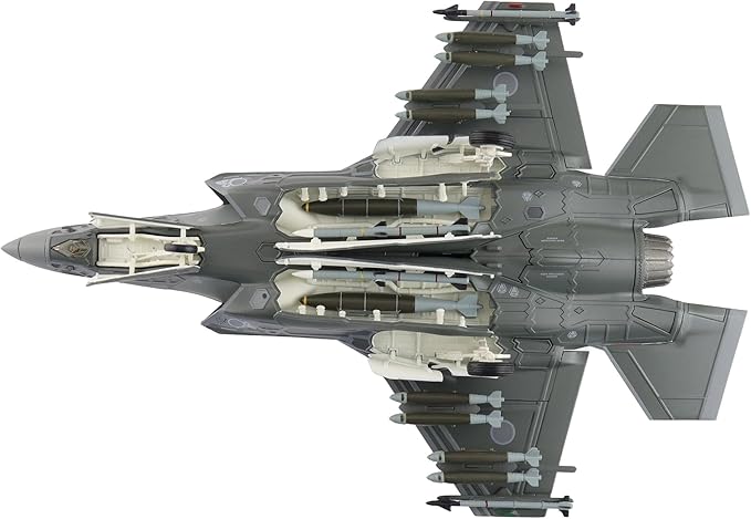 Hobby Master | 1:72 Scale Diecast Military Aircraft Replica | F-35A Lightning II 69-8702, 302nd FS, JASDF (w/Painted RAM Panels) | Model HA4443