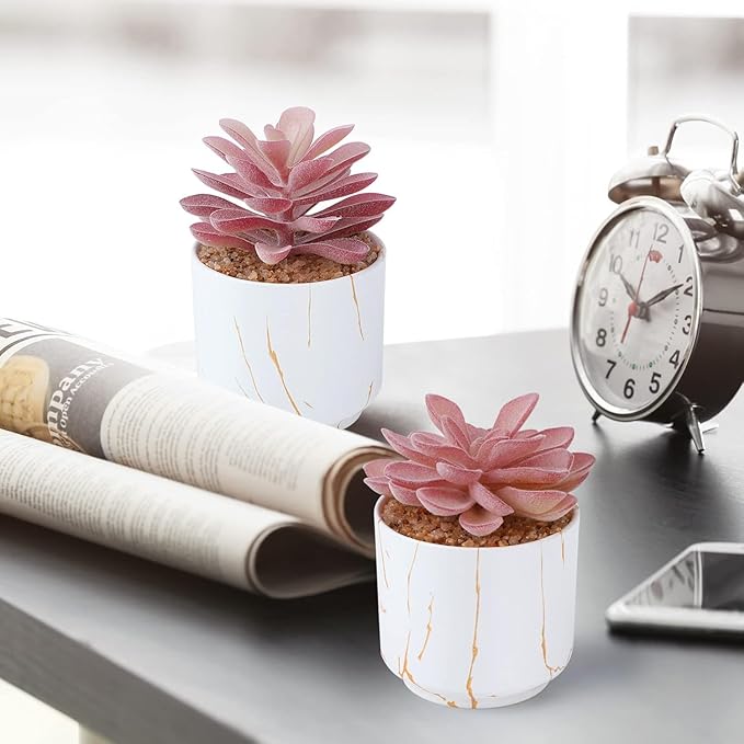 ZENIDA Succulent Artificial Plants,Cute Fake Succulents in 4 White Ceramic Pots,Small Fake Plants for Office,Table,Desk,Bathroom, Bedroom,Aesthetic Room Shelves Decor,Desk Decorations for Women Office