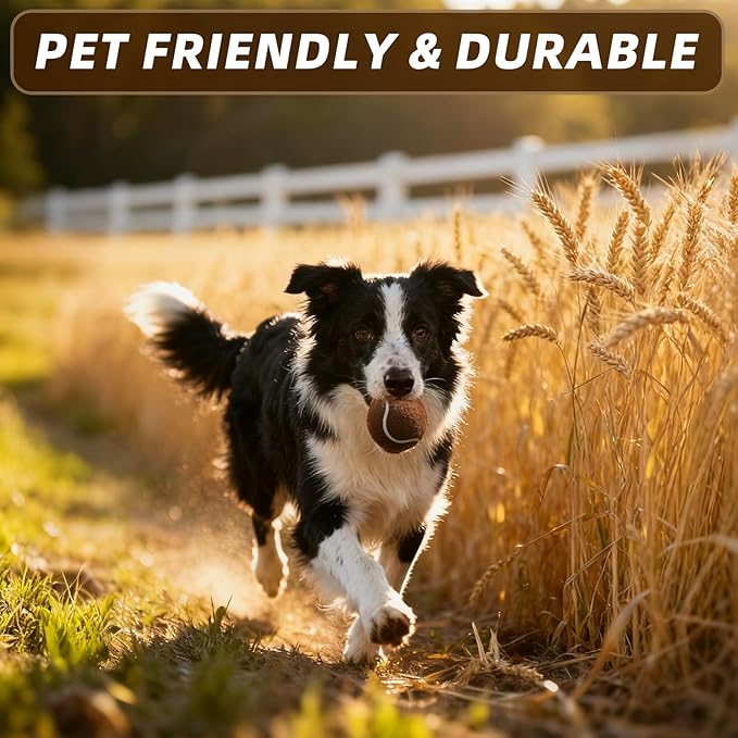 PoyPet 16-Pack Tennis Balls Bulk for Practice,Training and Beginners | Ideal for Dog Fetch,Chew and Play
