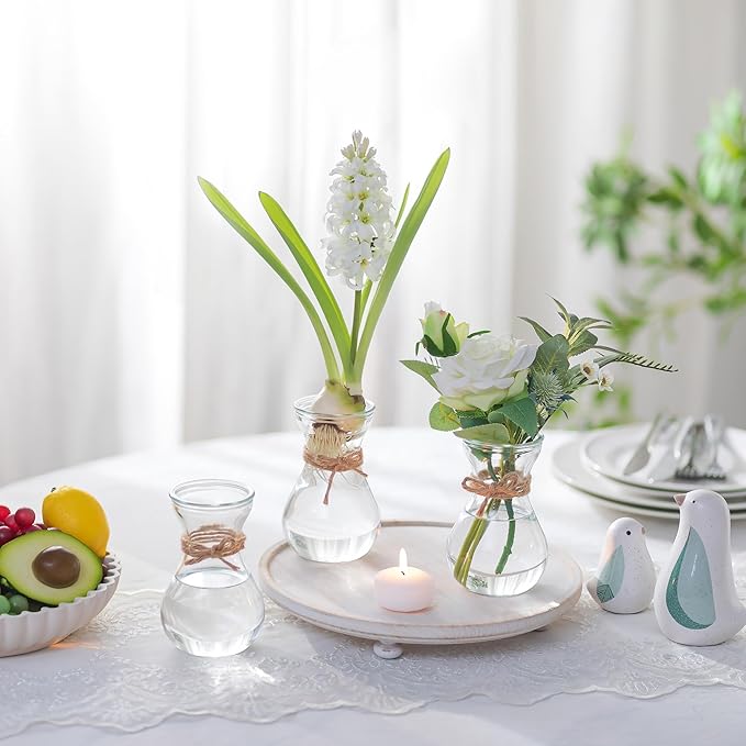 Small Glass Vases for Centerpieces - Hewory 3pcs Clear Mini Hyacinth Avocado Growing Bud Vase Bulk, Cute Tiny Flower Bulb Forcing Plant Containers Set for Wedding Home Living Room Table Decorations