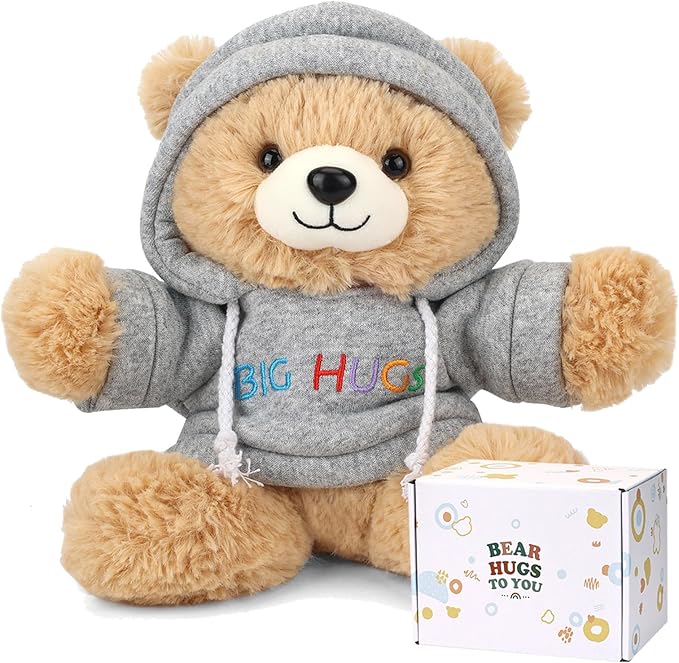 Big Hugs Teddy Bear Stuffed Animal with Gift Box Removable Hoodie for Comfort and Love, for Kids, Women & Men in Tough Time, Get Well Soon Gifts Basket with Beautiful Gift Greeting Card