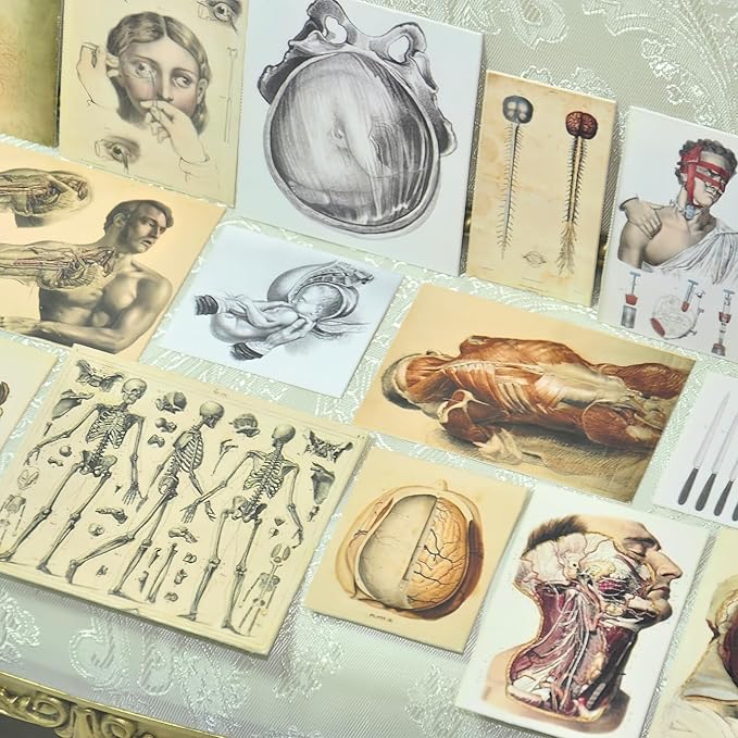 57 Pcs 1/6 Scale Miniature Vintage Medical Posters - Realistic Mini Things Anatomy Charts (X-Ray, Surgery, Microscope) for 11.5-Inch Fashion Dolls - Dollhouse Accessories for Decor and Play