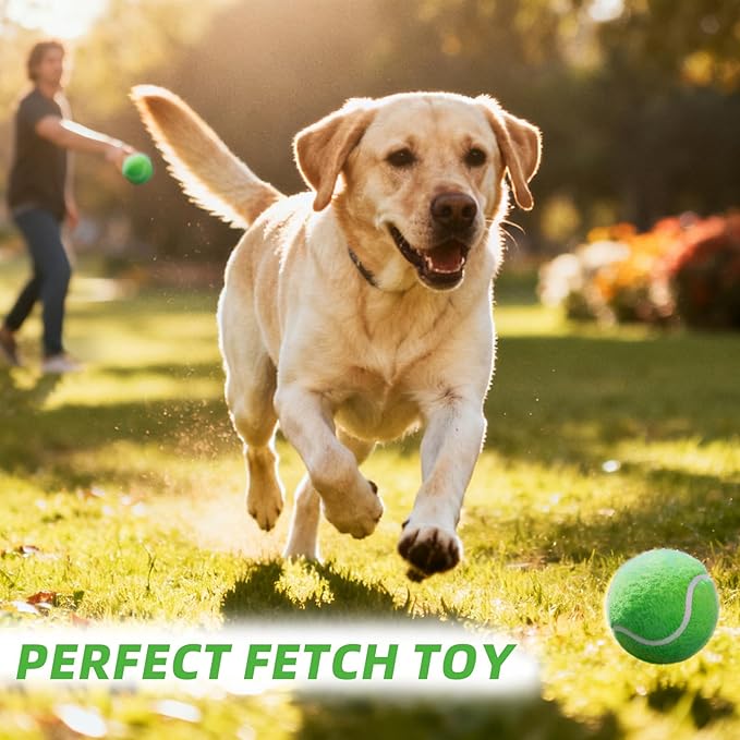 PoyPet 16-Pack Tennis Balls Bulk for Practice,Training and Beginners | Ideal for Dog Fetch,Chew and Play