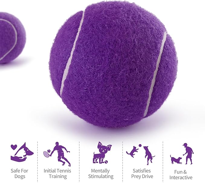 PHOEPET 6-Pack Tennis Balls for Beginner Training Practice- Bulk Dog Balls for Fetch Chew Toys(Purple)