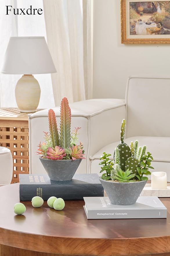 Fuxdre 2-Pack Artificial Succulent Plants in Vintage Plastic Pots - Waterproof Fake Plants Decor for Home Office Desk - Low Maintenance Indoor Greenery for Bathroom, Shelf & Table