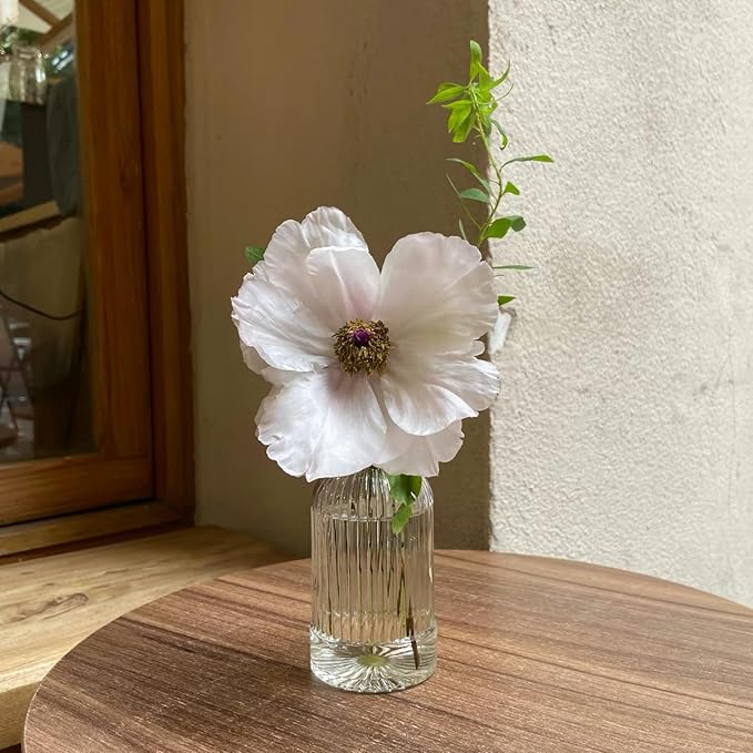 24Pcs Glass Bud Vase Set,Small Flower Vase for Tables Centerpieces Decor, Mini Vintage Clear Vase for Home,Wedding,Party Decorations
