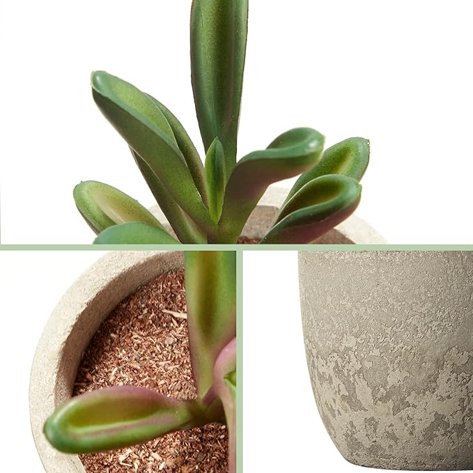Dominow Artificial Succulent Plants in Pots, Set of 5 Mini Fake Succulents for Indoor Home Decor, Small Faux Potted Greenery for Office Desk, Shelf, Bathroom, or Modern Boho Rustic Room Decoration