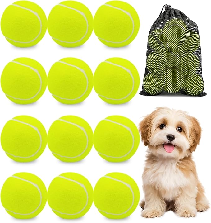 GOLDNITE Tennis Balls for Training and Dogs,12/20 Pack Practice Tennis Ball with Mesh Bag for Transport and Beginner Exercise High Elasticity Durable Pet Playing Tennis Ball Set
