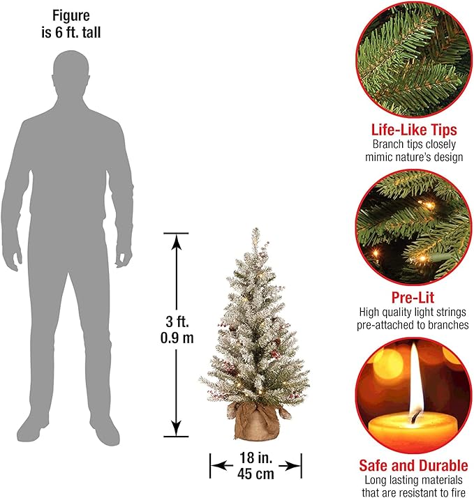National Tree Company Pre-Lit Artificial Mini Christmas Tree, Green, Dunhill Fir, White Lights, Decorated with Pine Cones, Berry Clusters, Frosted Branches, Includes Cloth Bag Base, 3 Feet