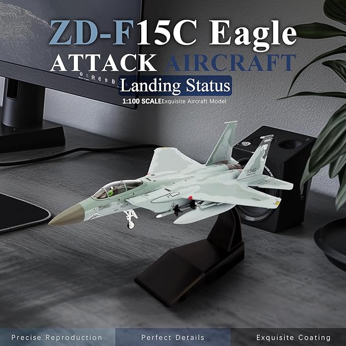 HANGHANG 1/100 Military Model Plane F15C Eagle Alloy Fighter Plane Model Model Airplane for Collection and Gift