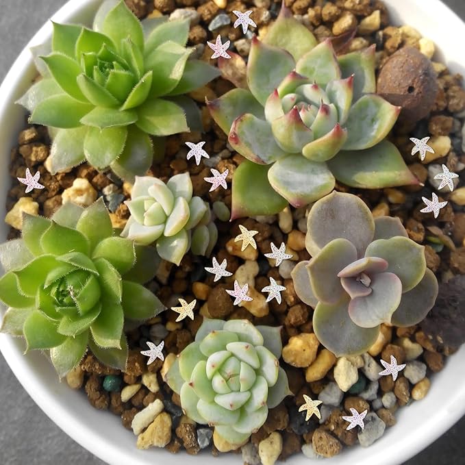 200 Pieces Tiny Starfish Decor for Crafts Dollhouse Miniatures Resin Micro Starfish Ocean Decorations for Dollhouse Fairy Garden Micro Landscaping Decoration