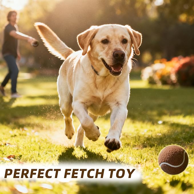 PoyPet 16-Pack Tennis Balls Bulk for Practice,Training and Beginners | Ideal for Dog Fetch,Chew and Play