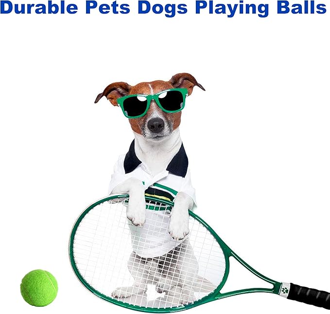 HiBallBall 12-Pack Practice Tennis Balls for Beginners & Dogs - Reusable Mesh Carry Bag Included - Ideal for Tennis Training, Pet Play, Fetch